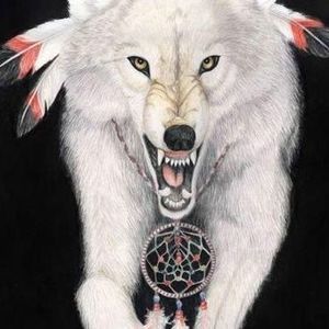 Meet your Posher, George